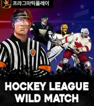하키 리그 와일드 매치