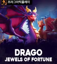 드라고 쥬얼스 오브 포춘 