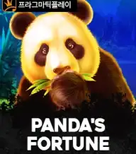 판다 포춘