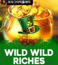 와일드 와일드 리치스