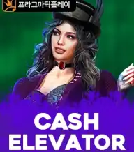 캐시 엘리베이터