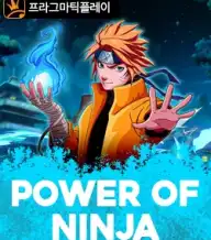 파워 오브 닌자