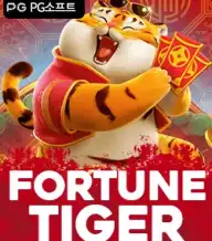 포춘 타이거