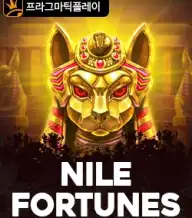 나일 포춘