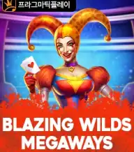 블레이징 와일드 메가웨이