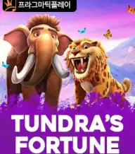 툰드라 포춘