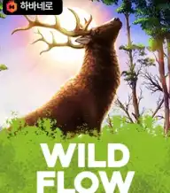 와일드 플로우
