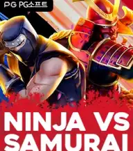 닌자 VS 사무라이