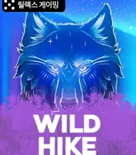 와일드 하이크