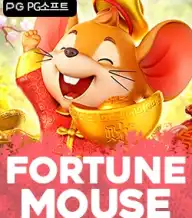 포춘 마우스