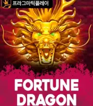 포춘 드래곤