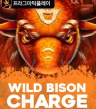 와일드 바이슨 찰지