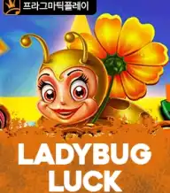 레이디 버그 럭키