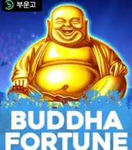 부더 포춘 홀드 앤 윈