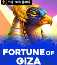 포춘 오브 기자