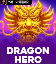 드래곤 히어로