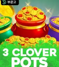 3 클로버 팟츠