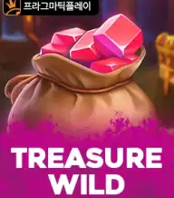 트레져 와일드