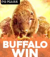 버팔로 윈