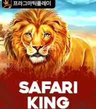 사파리 킹
