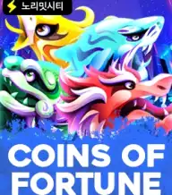 코인 오브 포춘