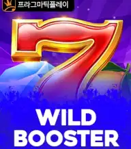 와일드 부스터
