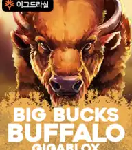 빅 벅스 버팔로 블록스