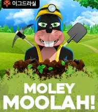 몰리 무올라!