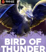 버드 오브 썬더