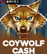 코이울프 캐쉬