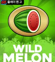 와일드 멜론