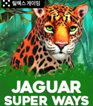 재규어 슈퍼 웨이