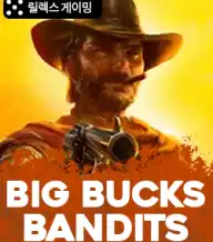 빅 벅스 밴더스