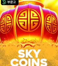 스카이 코인