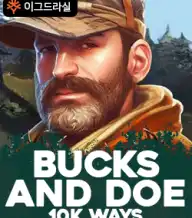 벅스 앤드 두 10K 웨이즈