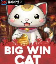 빅 윈 캣