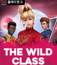 와일드 클래스