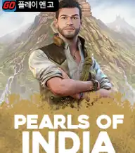 펄스 오브 인디아