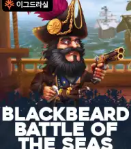 블랙버드 배틀 오브 더 시즈
