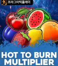 핫 투 번 멀티플라이어