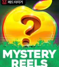 미스테리 릴스