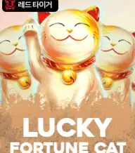 럭키 포춘 캣