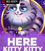 히어 키티 키티