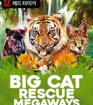 빅 캣 레스큐 메가웨이즈
