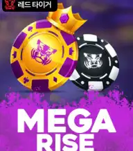 메가 라이즈