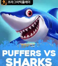 푸퍼스 vs 샤크스