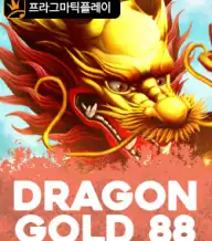 드래곤 골드 88