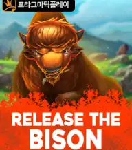 릴리즈 더 바이슨