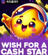 위시 포 어 캐시 스타