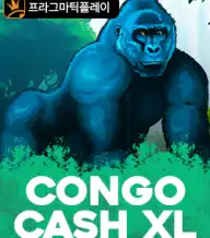 콩고 캐쉬 XL